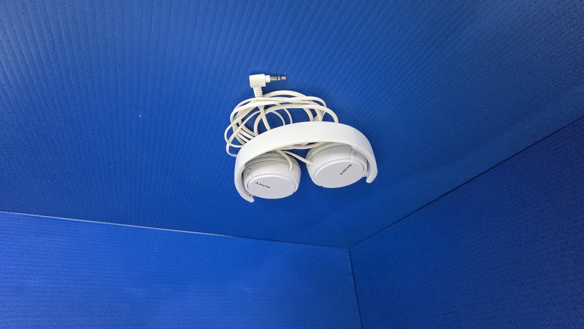 Sony Headphones